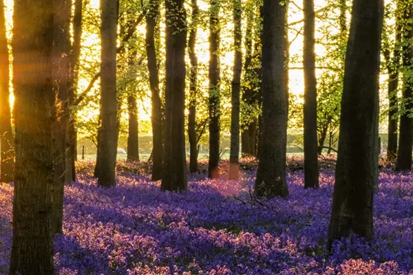 Image for article titled Spring bank holiday